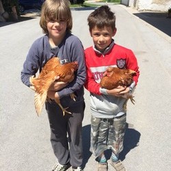 ŠD – POHOD STAR MALN – STRMICA