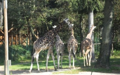 Obisk ZOO Ljubljana
