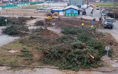 Eko šola, Mladi poročevalci za okolje